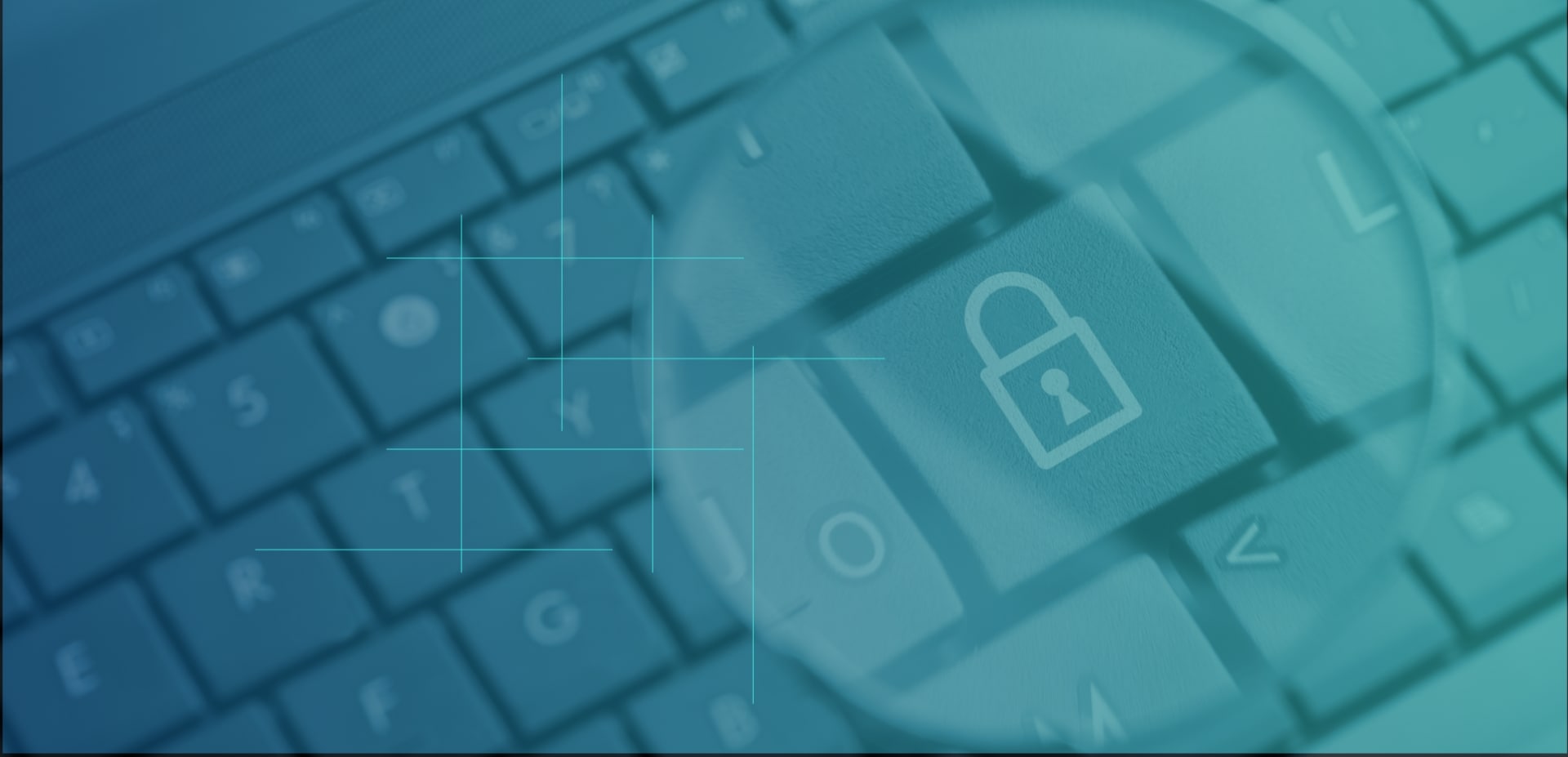 privacy-policy-banner